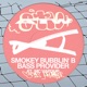 Bass Provider feat MC Vapour Single