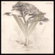 Lunantishee Single