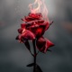 Firepit feat Saint YLD Single