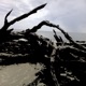 sinking sand Single