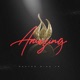 Amazing Single