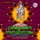 Sree Krishna Sandhyanamam