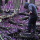 Nomad EP