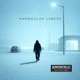 Hamdoulah labess Single
