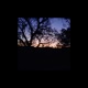 Days of Life Belief Single
