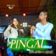 Pingal feat Onar Single
