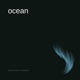 Ocean feat Batu Acar Single