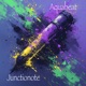 Junctionote Single