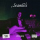 Seamless Slowed Reverb Single