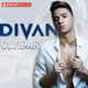 Olvidar Single