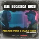 Fiecare vers o viata noua feat Bocaseca Rusu Single