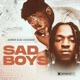 Sad Boys Single