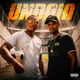Papo De Undaia Single