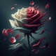 LOST LOVE Single