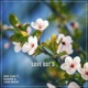 Love Got U feat Quadrini Laura Murad Single