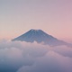 Fog Single