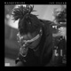 Masquerade Single