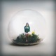 CONTIGO Single