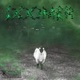 Doomer feat DVRKO13 Single