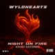Night on Fire Single