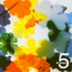 5 EP
