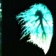 veins Single