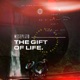 The Gift of Life Single