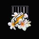 Winamp Single