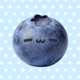 blueberry Single