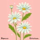 Flora Single