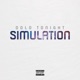 Simulation Single