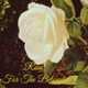 Rose For the Beloved