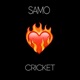 Cricket Single