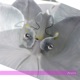 Anora Single