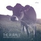 Farmyard Flavours Vol 2