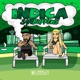 Indica 2 0