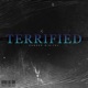Terrified Single