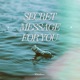 Secret Message For You Single