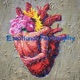 Emotional Feelosophy