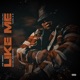 Like Me feat Nard B Single