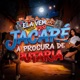 Ela Vem Pro Jacaré A Procura De Putaria Single