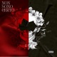 Non Sono Certo Single