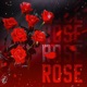 Rose Single