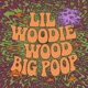 Big Poop