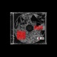 Stigmata Single