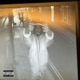 Trust2024 Single
