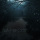 Darkness Single