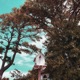 Dejected Youth Single
