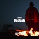 Baobab Single