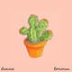 succulent Single